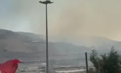 Hatay'da Orman Yangını