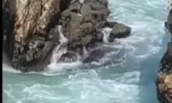 Yasağa Rağmen Denize Girdi Kayalıklarda Mahsur Kaldı