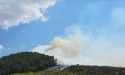 Balıkesir Dursunbey'de Orman Yangını