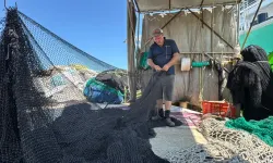 Balıkçılar Yeni Sezonda Palamuttan Umutlu