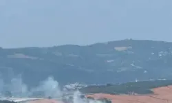 Bursa’da Anız Yangını