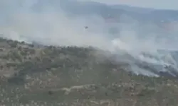 Balıkesir'de Orman Yangını