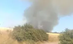 Çanakkale'de Orman Yangını