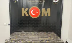 Mardin'de Kaçakçılık Operasyonunda 2 Gözaltı