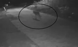 Köyde Çöp Dökmeye Çıkan Kadın, 4 Kurtla Karşılaştı