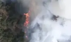 Balıkesir'de Kamyondaki Yangın Ormana Sıçradı