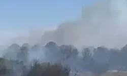 Anız Yangınında Alevler, Ağaçlık Alana Sıçradı