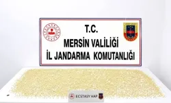 Mersin’de 3 Bin 760 Uyuşturucu Hap Ele Geçirildi