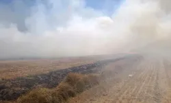 Anız Yangınını İtfaiye Söndürdü