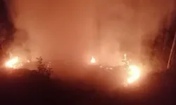 Alanya'da Orman Yangınında 2 Dönüm Alan Zarar Gördü