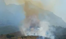 Manisa'da Orman Yangını Meydana Geldi