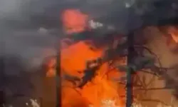 Bursa’da Orman Yangını ÇIktı