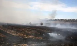 Uzmanından 'Anız Yakmak Yerine Sürerek Toprağa Karıştırma' Önerisi