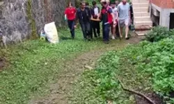 Artvin’de Yüksekten Düşen Fındık İşçisi Yaralandı