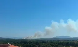 Çanakkale'de Tarım Arazisi Ve Merada Yangın