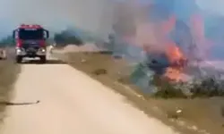 Otluk Alanda Çıkıp Ormana Sıçrayan Yangın Kontrol Altına Alındı