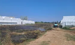 Serik’te Otluk Alanda Yangın