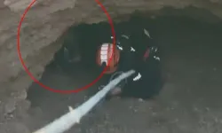 Obrukta Mahsur Kalan Keçiyi AFAD Ekipleri Kurtardı