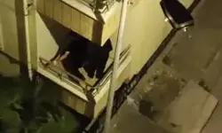 Balkona Tırmanıp Eve Giren Hırsızları Polis Suçüstü Yakaladı