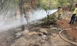 Kilis’te Orman Yangını