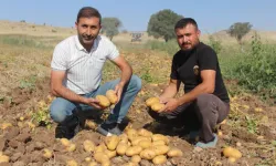 Patatesin Tarladaki Kilo Fiyatı 10, Pazar Ve Marketlerde 40 Lira
