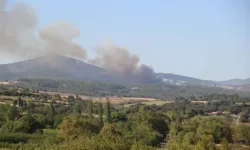 Çanakkale'de Orman Yangını Meydana Geldi
