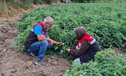 TAKE Projesi Ekim Alanlarında Denetimler Sürüyor