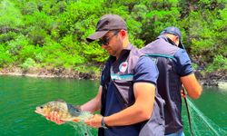 Hasan Uğurlu Baraj Gölü'nde Denetimler Sürüyor