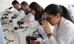 TOGÜ'de 668 Ders İngilizce Olarak Sunulacak