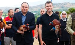 Erbaa`da 1500 Sülün Ve Keklik Doğaya Salındı
