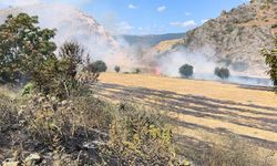 Tokat'ta Ot Yangını, Büyümeden Söndürüldü