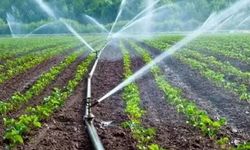 Tokat'ta Tasarruflu Tarımsal Sulama Hibe Desteği Başvuru Sonuçları Açıklandı