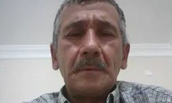Kesilen Ağacın Dalının Çarptığı Orman İşçisi Öldü