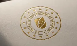 Enerji Ve Tabii Kaynaklar Bakanlığı Bursunda Başvurular Başladı