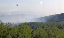 Çanakkale'deki Orman Yangınında 8 Hektar Alan Zarar Gördü