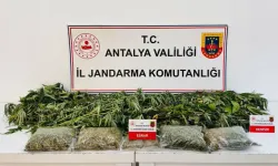Antalya’da Uyuşturucuya 1 Gözaltı