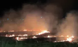 Osmaniye’de İki Gün Üst Üste Aynı Bölgede Anız Yangını