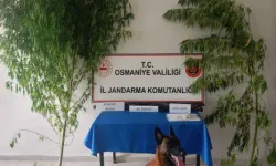 Osmaniye’de Jandarma Son Bir Haftada 109 Şüpheliyi Yakaladı