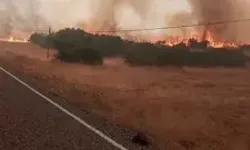 Elazığ'da Örtü Yangını