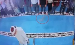 Camide Kediye Tekme Atan Kişi Gözaltına Alındı