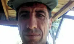 Orman Kesiminde Üzerine Ağaç Devrilen Kişi Öldü