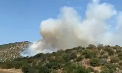 Balıkesir'de Orman Yangını