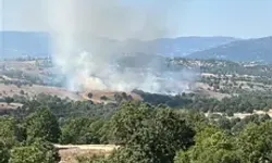 Bursa’da Orman Yangını