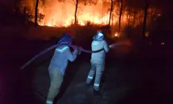 Serik'teki Orman Yangınının Enerjisi Düşürüldü