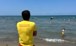 Kocaeli Sahillerinde Boğulma Tehlikesi Geçiren 527 Kişi Kurtarıldı