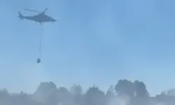 Bolu’da Yangın; Otlar Tutuştu, Alevler Ağaçlara Sıçradı
