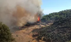 Antalya Kumluca'da Orman Yangını