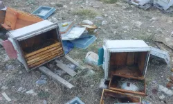 Aç Kalan Ayılar Arı Kovanlarını Parçaladı