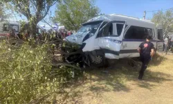 Tarım İşçilerini Taşıyan Minibüs, Ağaca Çarptı: 14 Yaralı