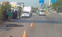 Yaya Üst Geçidinden Caddeye Düştü, Minibüs Çarpınca Hayatını Kaybetti